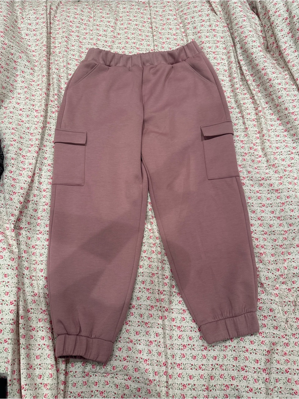 Express Mauve Pink Cargo Jogger Pants